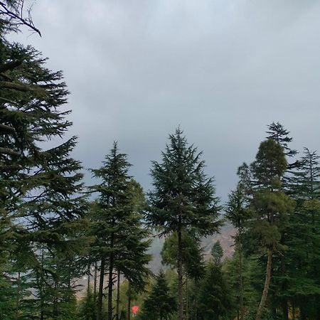Отель The Alpine Vista Алмора Экстерьер фото